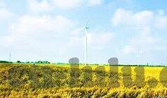 大象传媒官网1000-探索大象传媒官网的深度与广度，一个创意与技术的交汇点