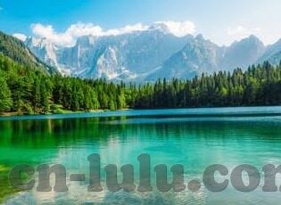 大象传媒视频秘密入口-探索大象传媒视频的独特视角