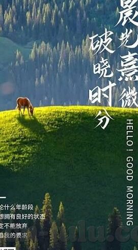 国产欧美日韩一区二区三区-国产影视的多元化探索，一区、二区、三区的文化与艺术交融