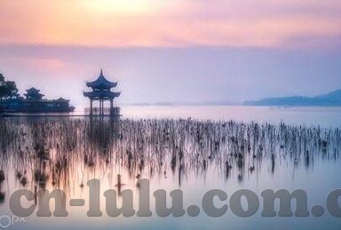 麻豆传媒映画app免费下载-麻豆传媒，映画APP的免费之旅——体验、亮点与反思