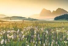麻豆视频传媒映-麻豆视频传媒，塑造当代传媒新现象