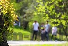 人妻插入-家庭与情感的细腻交织，人妻角色在婚姻中的深度融入