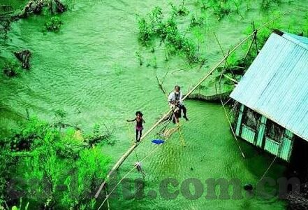糖心app官方网下载-甜蜜的邂逅，探索糖心app的官方下载之旅全解析