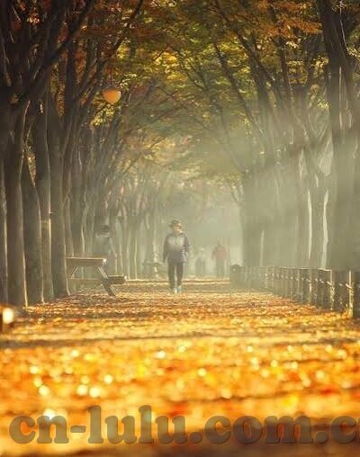 糖心app苹果手机下载-解锁新体验 —— 糖心App在苹果手机上的实用下载指南
